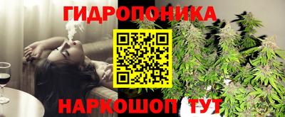 мяу мяу мука Севастополь