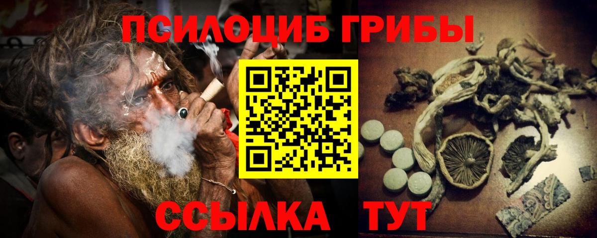 Псилоцибиновые грибы прущие грибы Отрадное