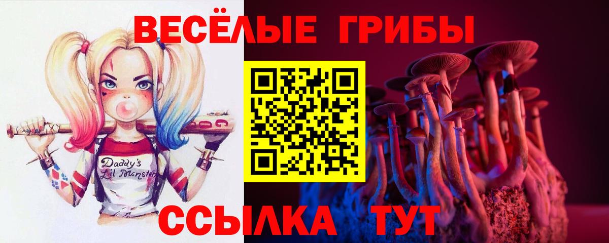 Псилоцибиновые грибы Cubensis  Вход с VPN  Отрадное  Псилоцибиновые грибы Cubensis 